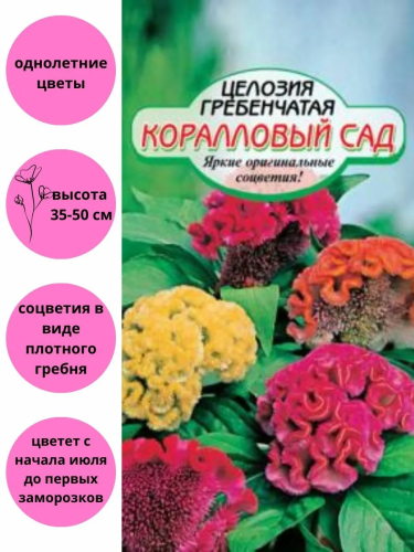 Семена целозия коралловый сад гребенчатая 2г